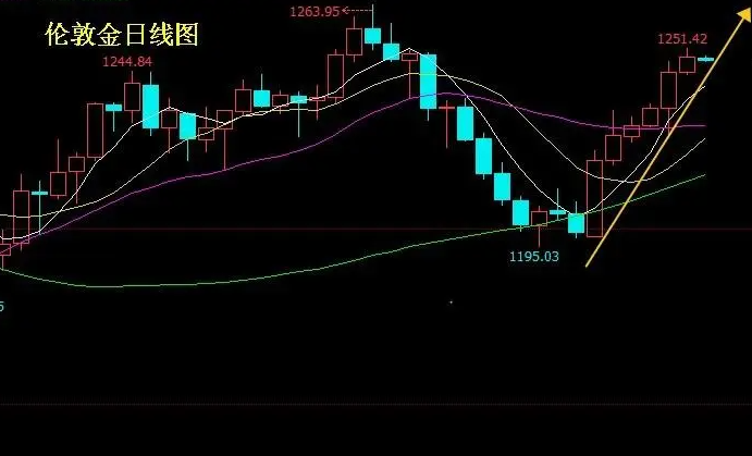 美指黄金非农数据（美元指数黄金与非农报告：市场焦点新透视）